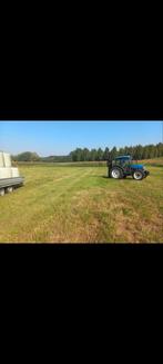 Weide onderhoud, Dieren en Toebehoren, Stalling en Weidegang