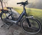 Gazelle Avignon C8 HMB met 625WH Accu Electrische Damesfiets, Ophalen of Verzenden, Zo goed als nieuw, 51 tot 55 cm, 50 km per accu of meer