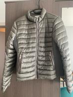 Vrouwen jas Mango, Kleding | Dames, Jassen | Winter, Ophalen, Zo goed als nieuw, Maat 42/44 (L)
