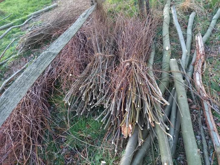 Takken in bundels gebonden, takkenwand, aanmaakhout, Tuin en Terras, Brandhout, Takken, Overige houtsoorten, 3 tot 6 m³, Ophalen