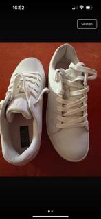 Sneakers Polo, Kleding | Dames, Schoenen, Ophalen, Gedragen, Sneakers