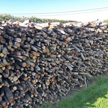 Bois de chauffage beschikbaar voor biedingen