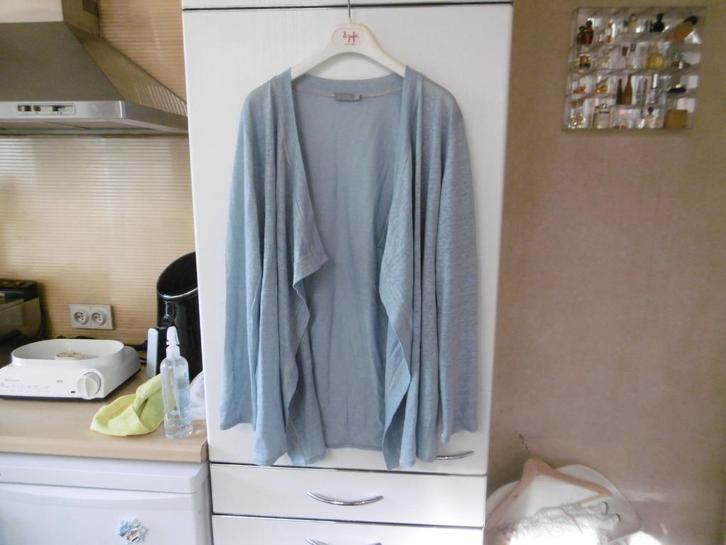 kledij dames trui "no man's land" M blauw, vlas, Kleding | Dames, Truien en Vesten, Gedragen, Maat 38/40 (M), Blauw, Ophalen of Verzenden