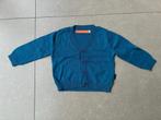 Blauwe gilet van Fred&Ginger (Maat 62 / 3 maand), Truitje of Vestje, Ophalen of Verzenden, Zo goed als nieuw, Fred&Ginger