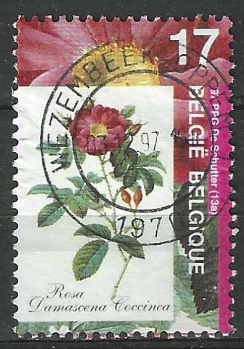 Belgie 1997 - Yvert 2709 /OBP 2708 - Flora - Rozen  (ST), Postzegels en Munten, Postzegels | Europa | België, Gestempeld, Gestempeld