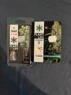 Graines weed, Ophalen of Verzenden, Nieuw
