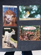 4 postkaarten met dieren, Verzamelen, Postkaarten | Dieren, Verzenden