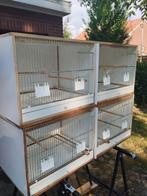 Kweekkooien, Dieren en Toebehoren, Vogels | Hokken en Kooien, Ophalen