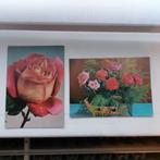 2 postkaarten rozen, Ophalen of Verzenden