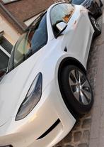 Tesla model Y te koop, Auto's, Automaat, Achterwielaandrijving, Zwart, Wit