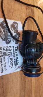 Turbine aquarium marin, Animaux & Accessoires, Enlèvement