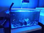 kleine zee-aquarium, Animaux & Accessoires, Poissons | Aquariums & Accessoires, Enlèvement, Utilisé, Aquarium vide