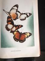 Artis historia 1952, Ophalen