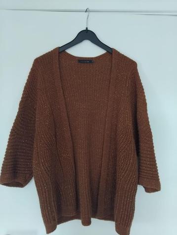 Gebreide vest voor dames,bruin met glinstering;maat:L/XL. beschikbaar voor biedingen