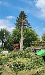 Bomen kappen of snoeien  inruil voor het brandhout, Tuin en Terras, Ophalen of Verzenden