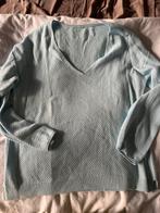 Blauwe trui 42, Kleding | Dames, Ophalen of Verzenden, Zo goed als nieuw, Maat 42/44 (L), Blauw