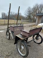 Koets paard / pony / ezel, Dieren en Toebehoren