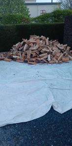 Bois vrac Box 3st 2ans ou Palette sec payement la livraison., 6 m³ of meer, Ophalen of Verzenden, Beukenhout, Blokken