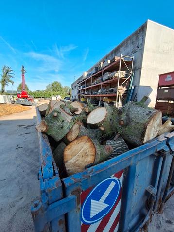 Brandhout en haksel  disponible aux enchères