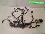 KABELBOOM MOTOR Fiat 500 (312) (01-2007/12-2012) (55233993), Gebruikt, Fiat