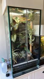 Groot palludarium aangeboden, Dieren en Toebehoren, Ophalen, Zo goed als nieuw