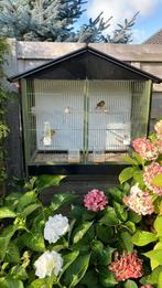 Vogelkooi, Dieren en Toebehoren, Ophalen, Gebruikt, Vogelkooi