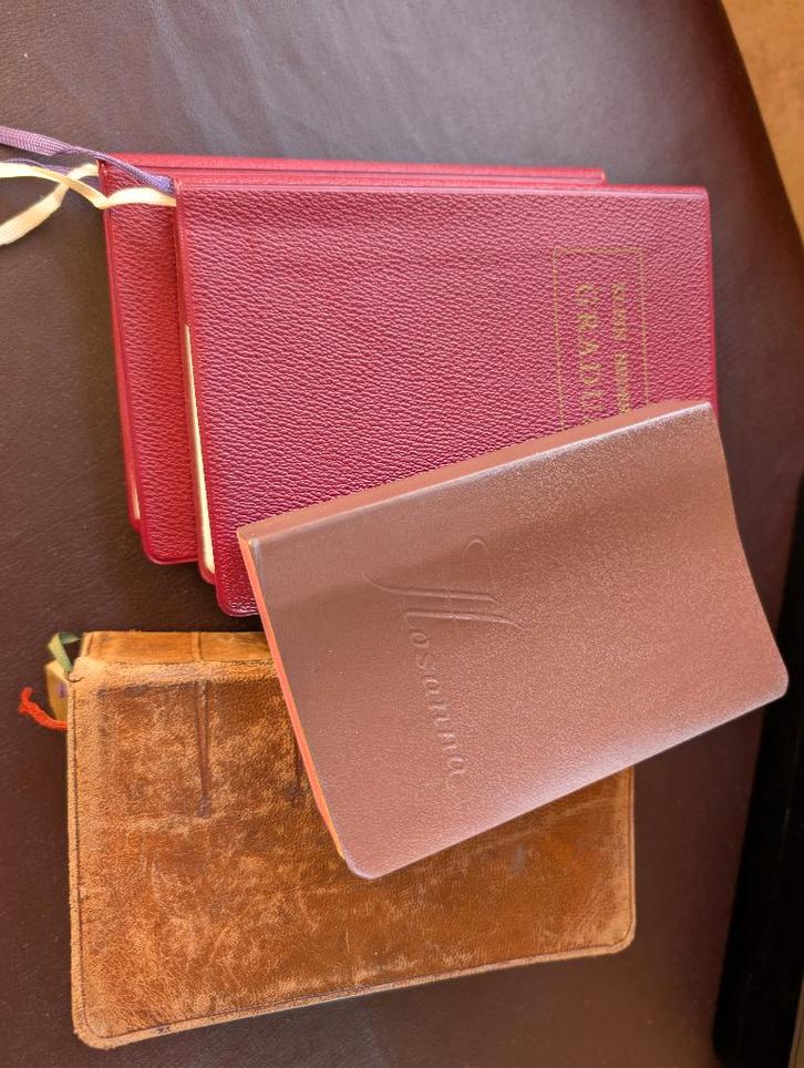 boeken Vesper en  ...volkszangmissen..., Boeken, Godsdienst en Theologie, Gelezen, Christendom | Katholiek, Ophalen