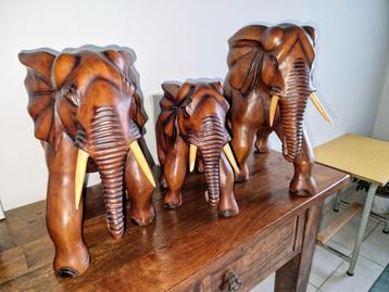 Ensemble d'éléphants 