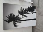Mooi canvas, Huis en Inrichting, Woonaccessoires | Schilderijen, Tekeningen en Foto's, Ophalen, Zo goed als nieuw