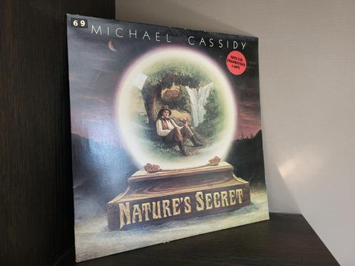 LP - Michael Cassidy - Nature's Secret, Cd's en Dvd's, Vinyl | Rock, Gebruikt, Overige genres, 12 inch, Ophalen of Verzenden