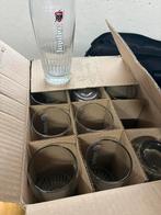 12 jupiler glazen, Verzamelen, Ophalen, Zo goed als nieuw