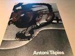 Antoni Tàpies schilderijen collages 60pag, Boeken, Ophalen of Verzenden, Zo goed als nieuw, Schilder- en Tekenkunst