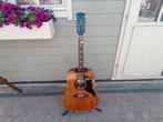 Gitaar Eko ranger 12 electra, jaren 60, Muziek en Instrumenten, Snaarinstrumenten | Gitaren | Akoestisch, Ophalen, Gebruikt, 12-snarig