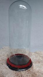 Antieke gazen stolp, Enlèvement