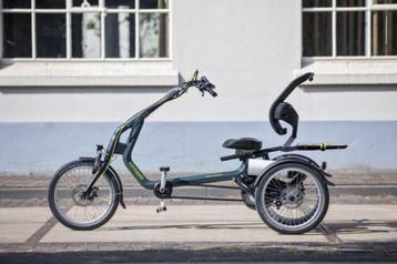 Gezocht: Van raam easy rider Driewielfiets. beschikbaar voor biedingen