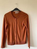 Roestkleurige cardigan, merk : WE, maat: Medium, Kleding | Dames, Truien en Vesten, Maat 38/40 (M), Overige kleuren, WE, Ophalen of Verzenden