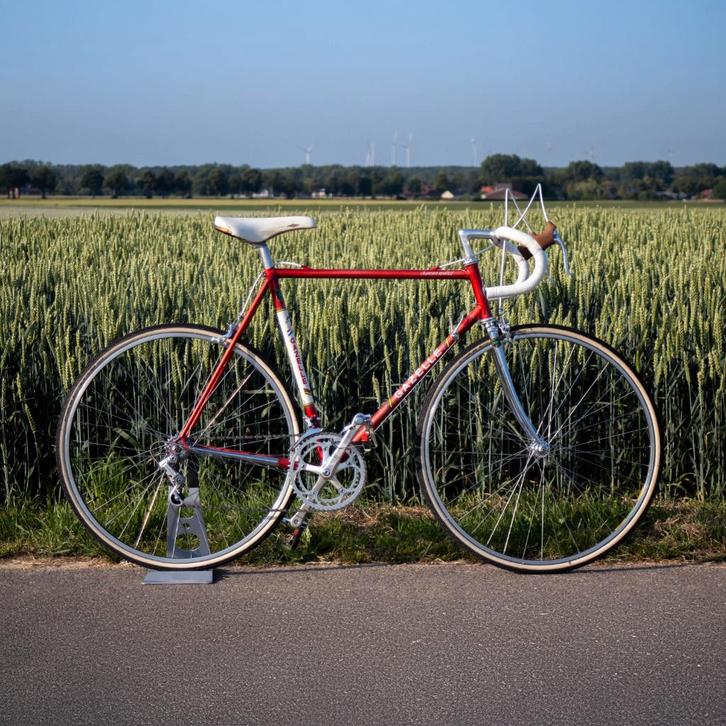 Gazelle Champion Mondial AA-Special (57CC), Vélos & Vélomoteurs, Vélos | Hommes | Vélos pour homme, Utilisé, Gazelle, 57 à 61 cm