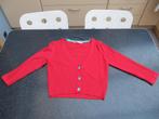 vest, golf, trui nieuw rood Zoe Love Born Lola & Liza, small, Lola & Liza, Nieuw, Ophalen of Verzenden, Maat 36 (S)