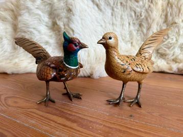 Malevolti fazanten beschikbaar voor biedingen