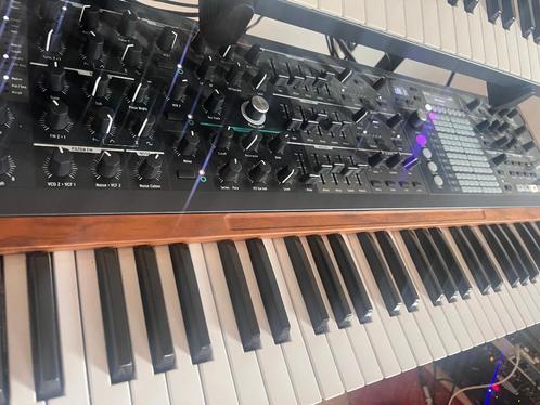 Arturia PolyBrute — nieuwstaat + OVP — €1.650 te bespreken, Muziek en Instrumenten, Synthesizers, Zo goed als nieuw, 61 toetsen