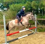 D pony ook betuigd ‼️, Dieren en Toebehoren, Pony's, Zadelmak