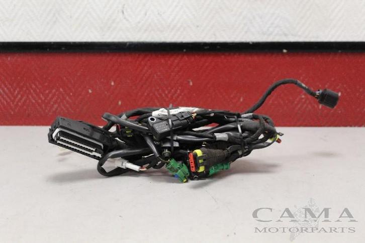 KABELBOOM MOTOR Shiver 900 2017-2018 (SL900) (2d000360), Motoren, Onderdelen | Overige, Gebruikt