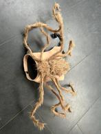 Halloween spinnen voor honden, Ophalen, Zo goed als nieuw