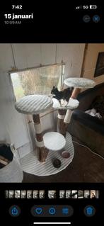 Zelfgemaakte kattenpalen te koop zie beschrijving, Ophalen of Verzenden, Nieuw, Krabpaal