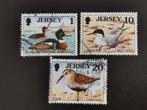 Jersey 1997 - oiseaux - oiseaux de mer - échassiers, Affranchi, Enlèvement ou Envoi