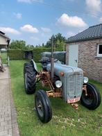 Massey Ferguson 35 Goudbuik 1969 – Origineel & met papieren!, Zakelijke goederen, Ophalen, Massey Ferguson