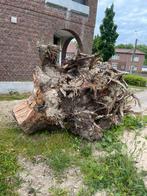 MASSIEVE BOOMSTRONK VOOR DOE-HET-ZELVERS, Tuin en Terras, Brandhout, Ophalen, Stammen