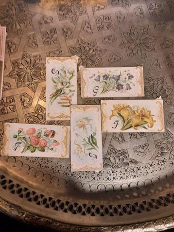5 fleurs en lithographie chromée | Edmond Van Roy (Anvers, v, Enlèvement ou Envoi, Avant 1940, Gravure, Nature
