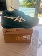 Nieuwe acics schoenen tennis maat 45, Sport en Fitness, Tennis, Ophalen, Nieuw, Schoenen, Overige merken
