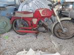 Gimson flandria, Ophalen, Gebruikt, Overige modellen, 49 cc